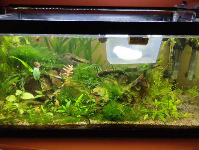 Photographie du post de lolo95 