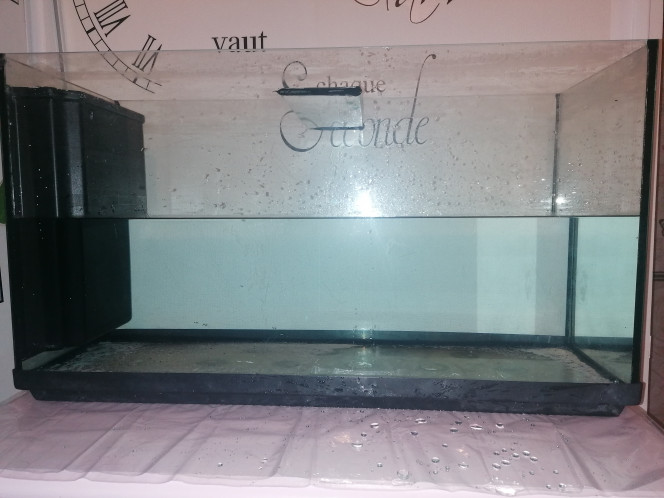 Photographie du post de Barbu62 