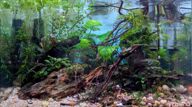 On a rangé le sapin Ça prend forme