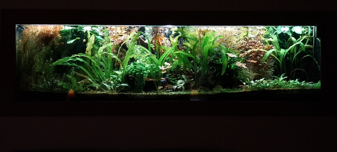 Photographie du post de STK54 