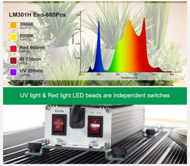 Photographie du post de Lafeeverte 