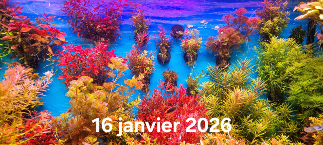 Photographie du post de SuperMonkey 