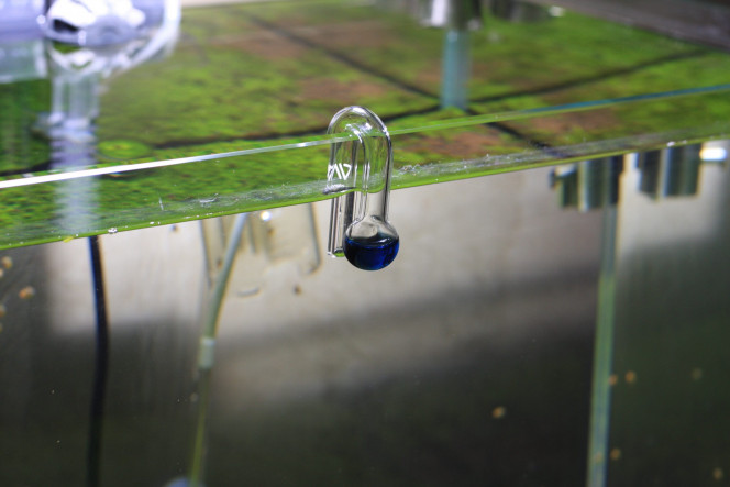 Photographie du post de Erzalt 