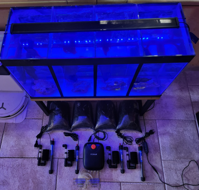 Photographie du post de Hugy34 