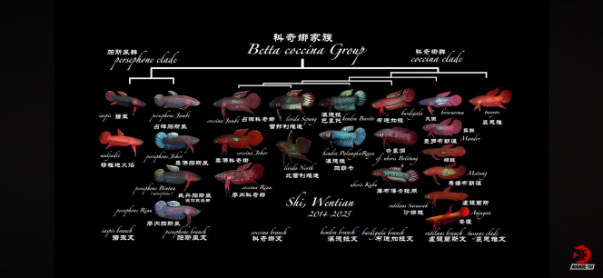 Photographie du post de Arthur64200 