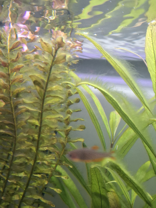 Photographie du post de Guiguidu57 