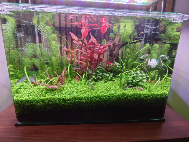 Photographie du post de Olivoliv 