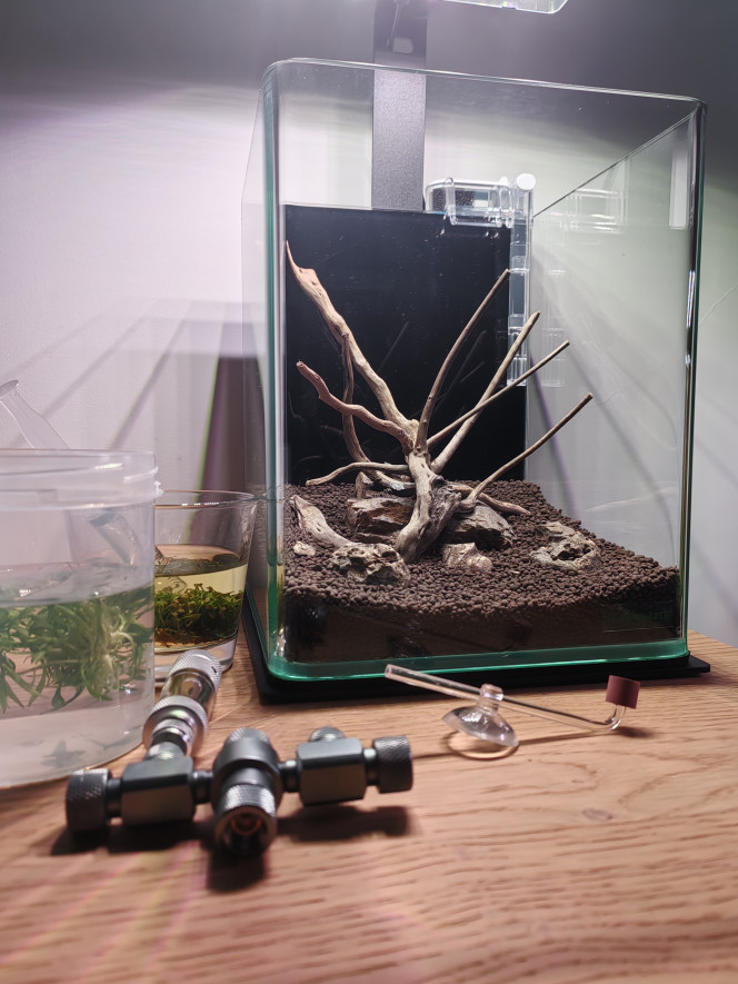 Photographie du post de Olivoliv 