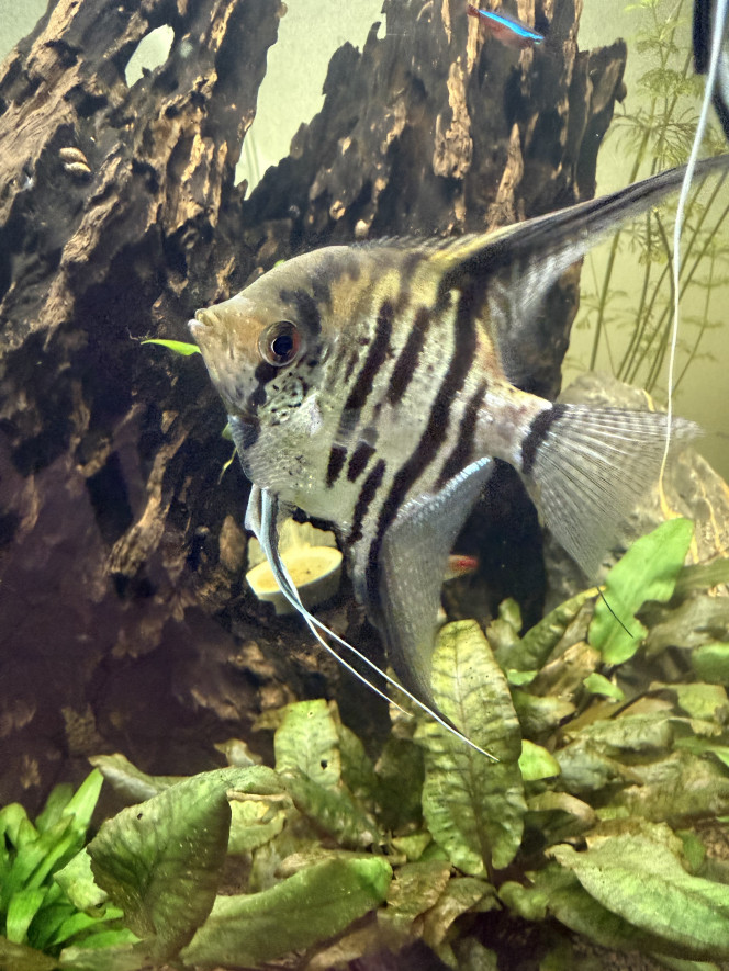 Photographie du post de Xvr-91 