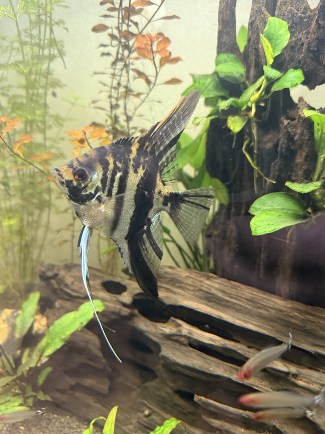 Photographie du post de Xvr-91 