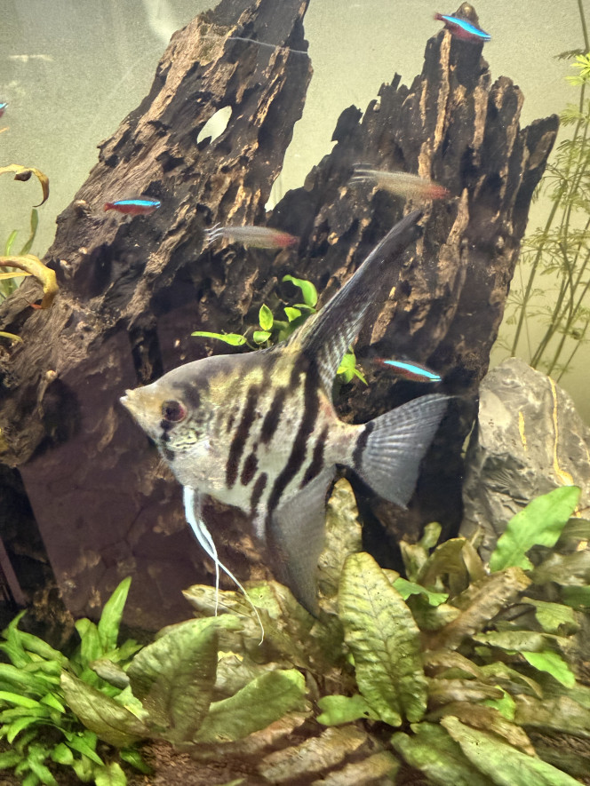 Photographie du post de Xvr-91 