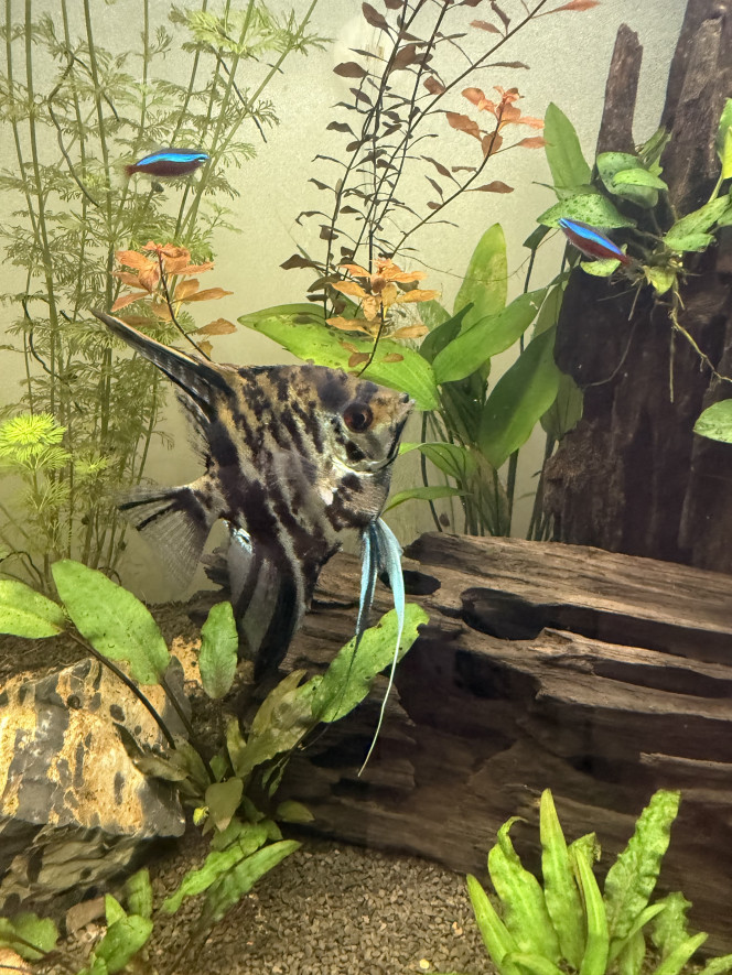 Photographie du post de Xvr-91 