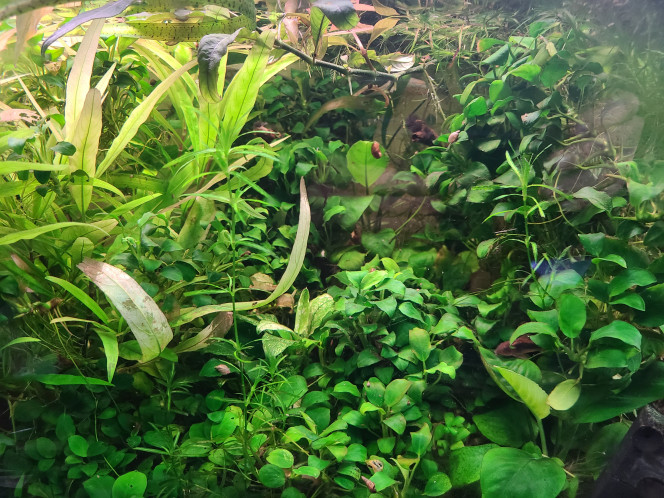 Photographie du post de laurent-galichet 