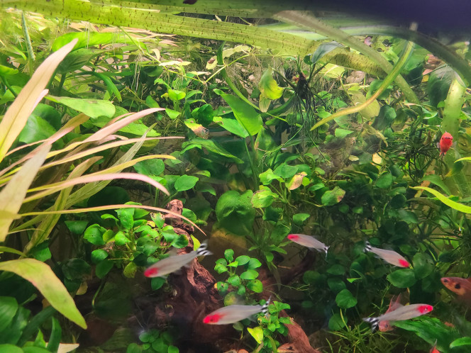 Photographie du post de laurent-galichet 