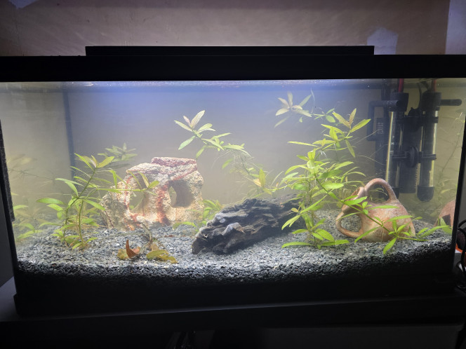  Fin de cyclage du dernier bac