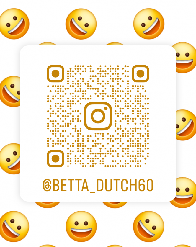 Photographie du post de Betta_dutch60 