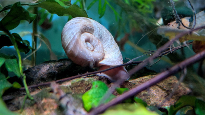 Photographie du post de ArtemusKlegg 