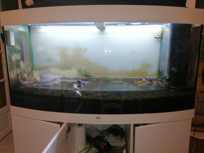 Photographie du post de Barbu62 