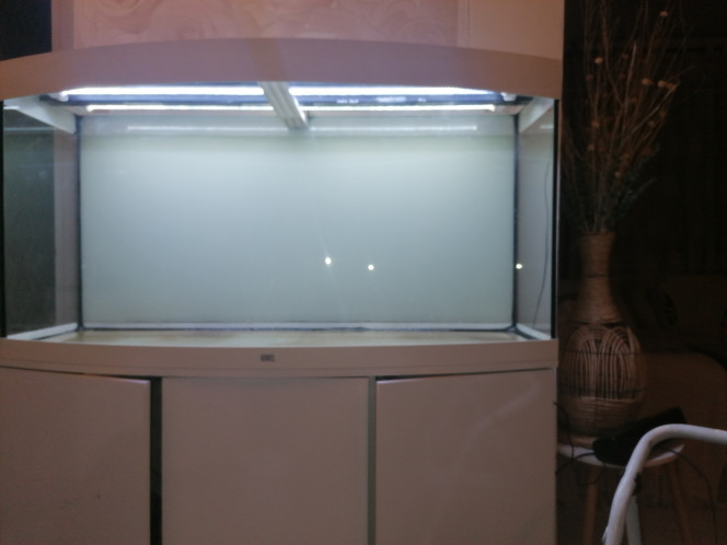 Photographie du post de Barbu62 