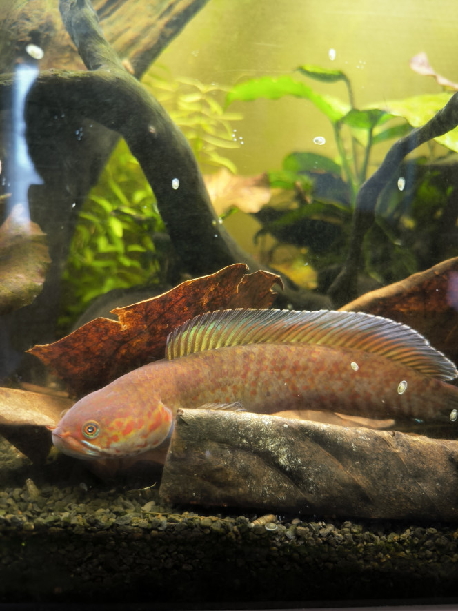 Photographie du post de Guigui-tkt 