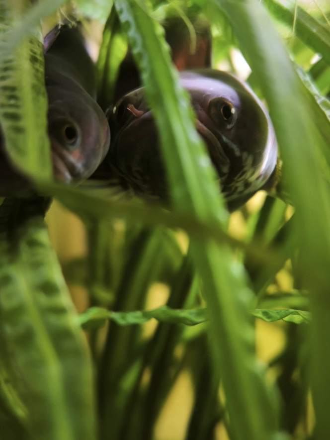 Photographie du post de Guigui-tkt 