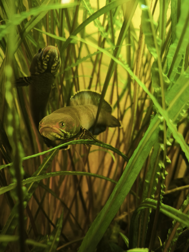 Photographie du post de Guigui-tkt 