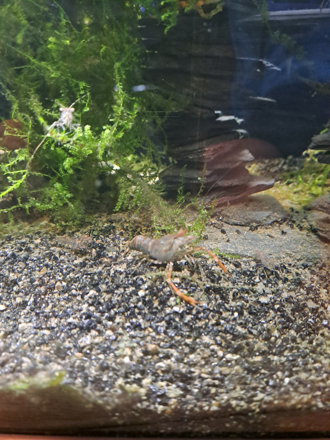 Photographie du post de Maemaddy 