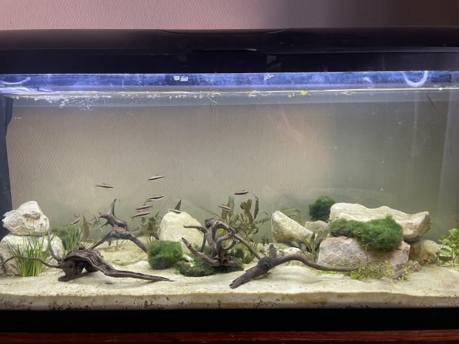 Première installation J'ai commencer mon bac comme ça.