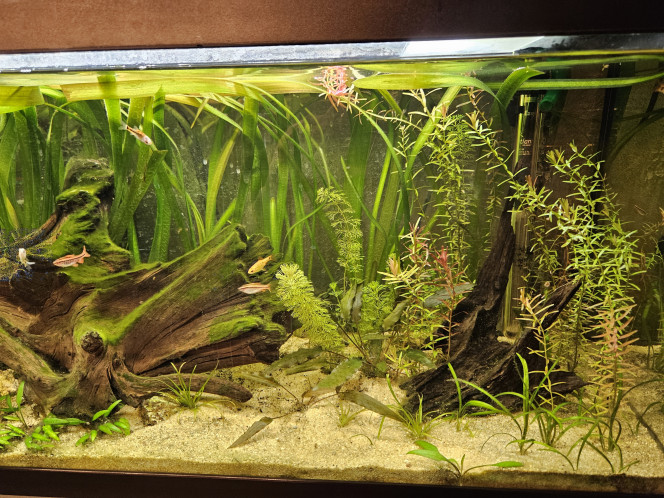 Photographie du post de spaceman663 