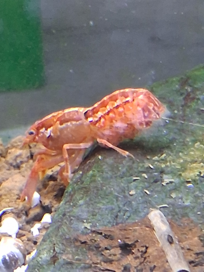 Photographie du post de PORTELLI 