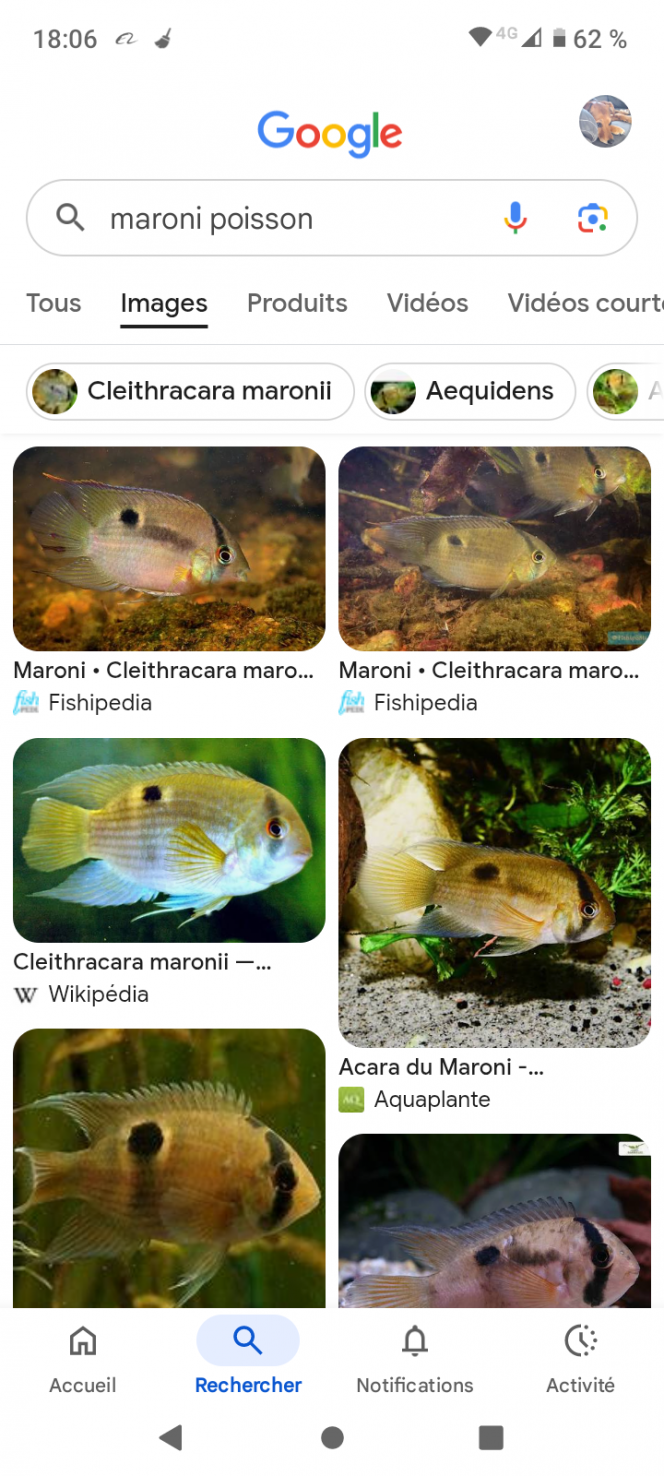 Photographie du post de Fred22lassy 