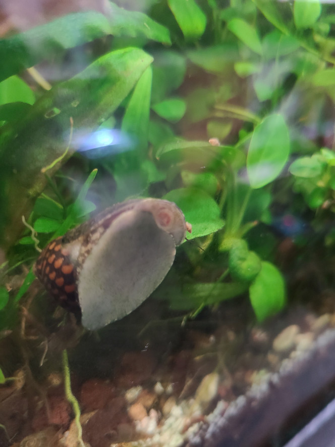 Photographie du post de laurent-galichet 