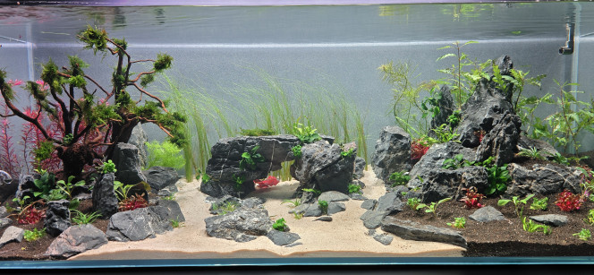 1 mois après  (avant/après) 