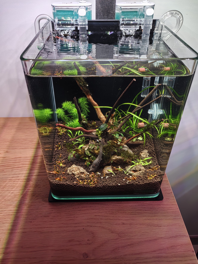 Photographie du post de Olivoliv 