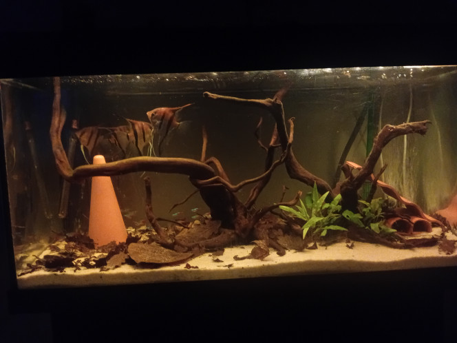 Photographie du post de vv091v 