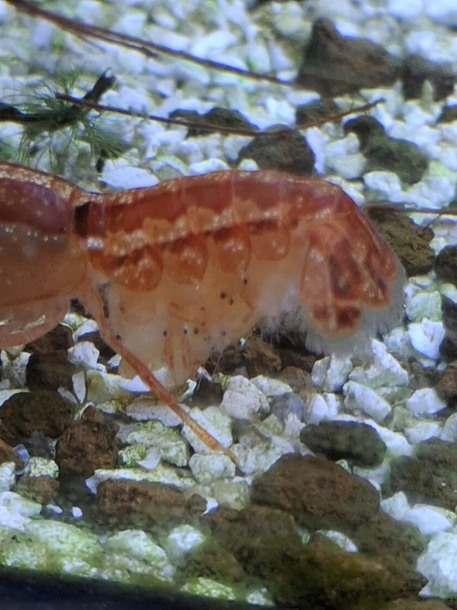 Photographie du post de PORTELLI 