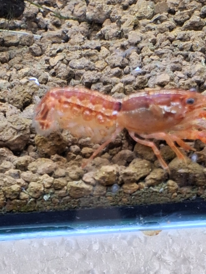 Photographie du post de PORTELLI 