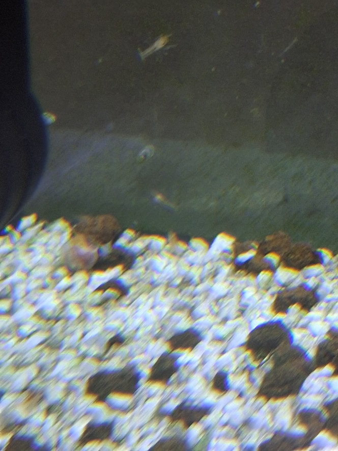 Photographie du post de PORTELLI 