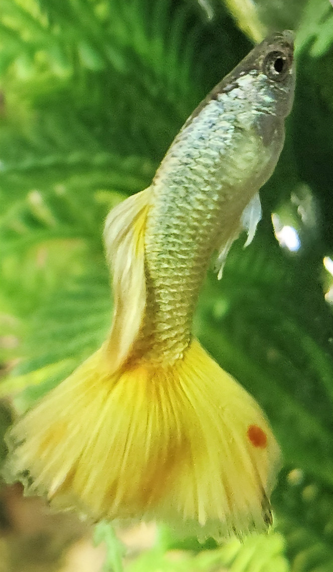 Photographie du post de Natu9110 