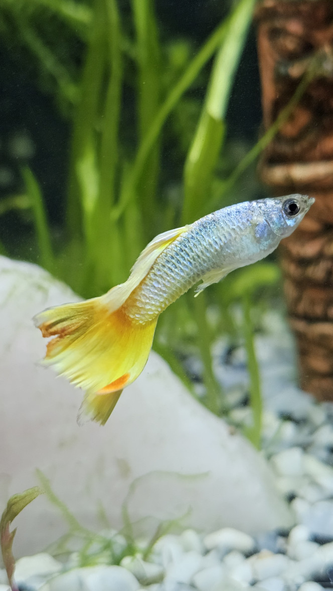 Photographie du post de Natu9110 