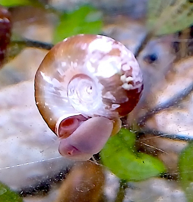 Photographie du post de Jego 