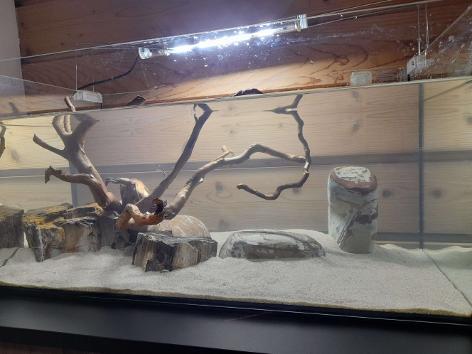  Photos de la mise en eau (14 décembre 2025) jusqu'au 22 février 2026