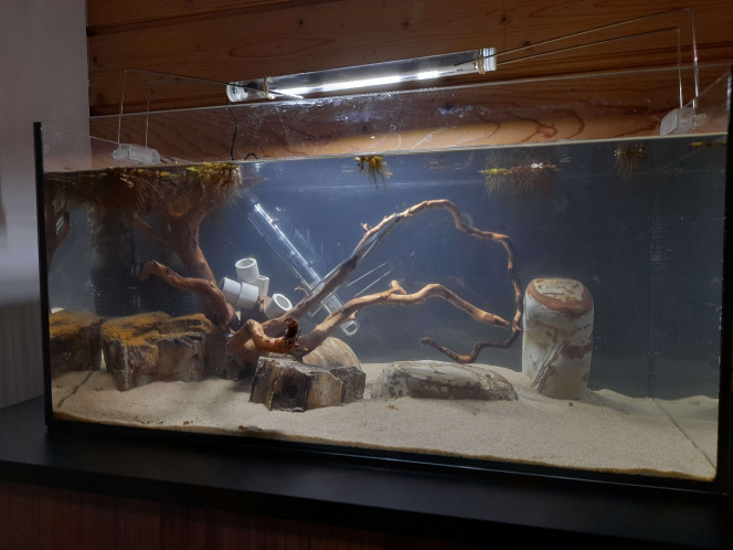  Photos de la mise en eau (14 décembre 2025) jusqu'au 22 février 2026