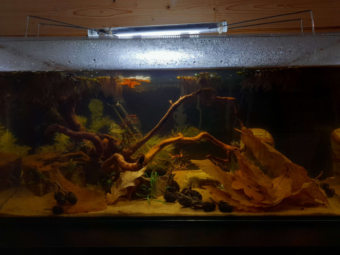  Photos de la mise en eau (14 décembre 2025) jusqu'au 22 février 2026