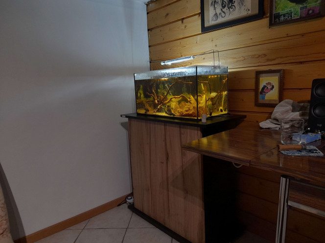  Photos de la mise en eau (14 décembre 2025) jusqu'au 22 février 2026