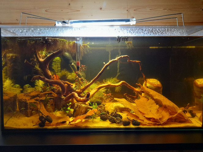  Photos de la mise en eau (14 décembre 2025) jusqu'au 22 février 2026