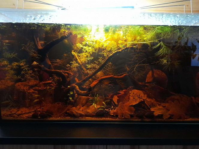  Photos de la mise en eau (14 décembre 2025) jusqu'au 22 février 2026