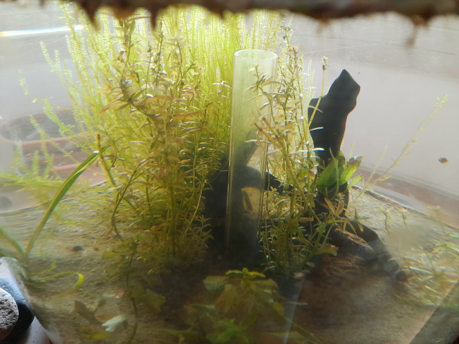 Photographie du post de T.girault32 