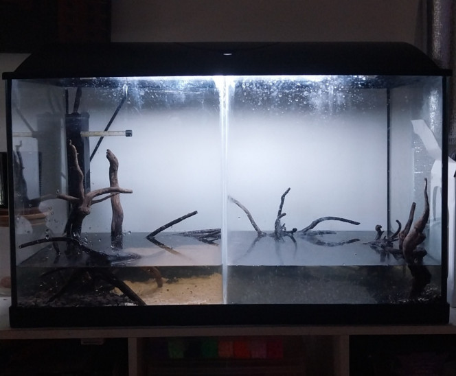 Photographie du post de Yoshi971 