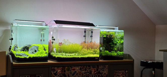 70l hollandais Petit travail du soir : je commençais à en avoir marre d’avoir les LED qui me tapaient dans les yeux quand j’étais assis dans mon canapé. J’ai donc décidé de fabriquer rapidement un petit cache à glisser dans la rainure de la rampe LED. Mes yeux me disent merci !
Bien sûr, j’ai aussi dessiné d’autres supports de casquette pour celles d’à côté. ?